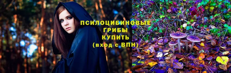 Псилоцибиновые грибы Magic Shrooms Ардон